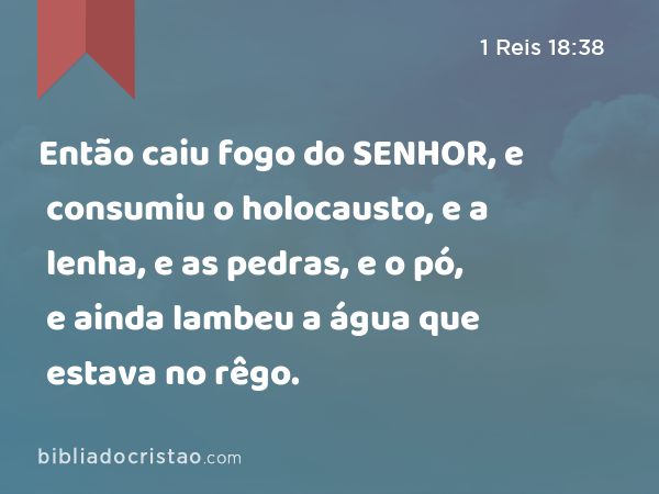 Então caiu fogo do SENHOR, e consumiu o holocausto, e a lenha, e as pedras, e o pó, e ainda lambeu a água que estava no rêgo. - 1 Reis 18:38