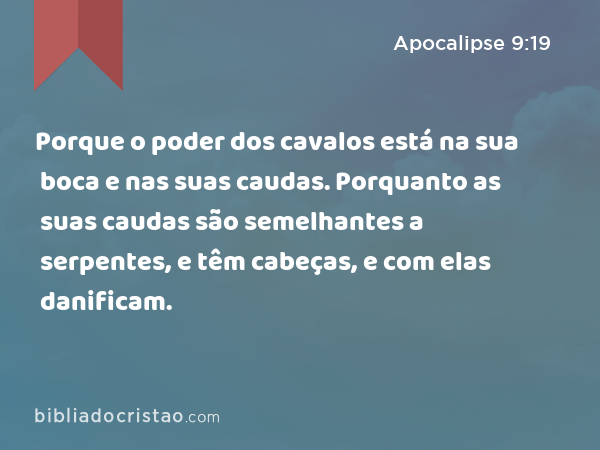 Porque o poder dos cavalos está na sua boca e nas suas caudas. Porquanto as suas caudas são semelhantes a serpentes, e têm cabeças, e com elas danificam. - Apocalipse 9:19