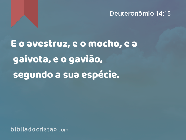 E o avestruz, e o mocho, e a gaivota, e o gavião, segundo a sua espécie. - Deuteronômio 14:15