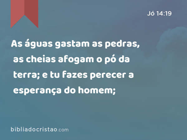 As águas gastam as pedras, as cheias afogam o pó da terra; e tu fazes perecer a esperança do homem; - Jó 14:19